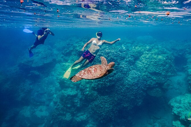 Ariki Adventures: Premium Sea Scooter Turtle Adventure - Is $112 good value for two hours?