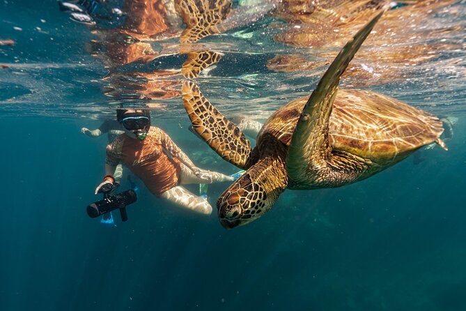 Ariki Adventures: Premium Sea Scooter Turtle Adventure - Entering the water with a small guided group