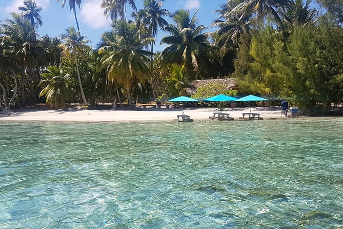 Authentic Polynesian Experience - Drift snorkeling through the coral garden