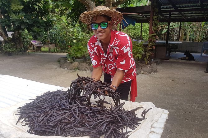 Authentic Polynesian Experience - A motu lunch with fish at your feet