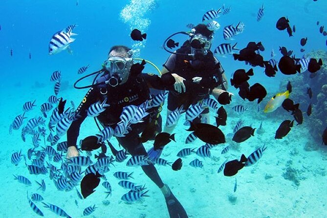 Baptism diving in the turquoise waters of Tahiti - Key points at a glance
