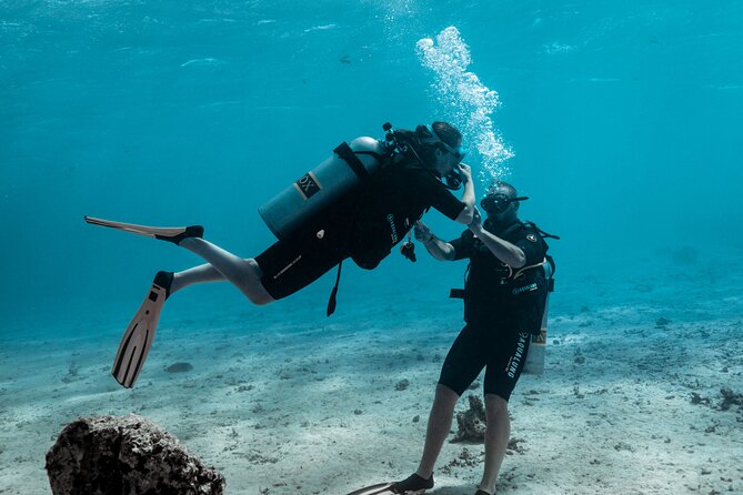 Baptism diving in the turquoise waters of Tahiti - Your first look below Tahiti’s surface