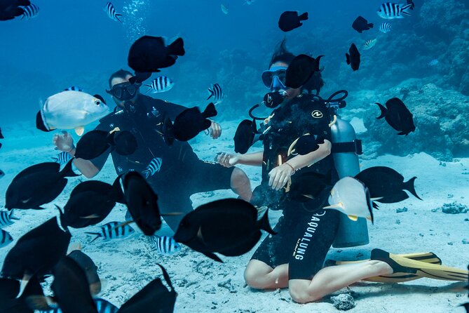 Baptism diving in the turquoise waters of Tahiti - Why the two-person limit matters