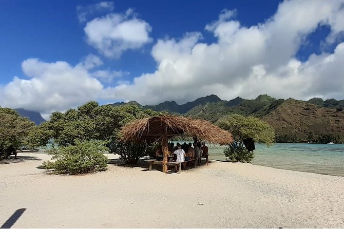 Best Way to Interact with Ocean Wildlife with Lunch. 6H - Moorea’s lagoon, seen from a glass-bottom boat