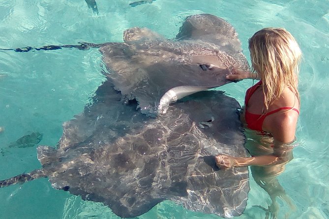 Best Way to Interact with Ocean Wildlife with Lunch. 6H - Who should book this Moorea outing?