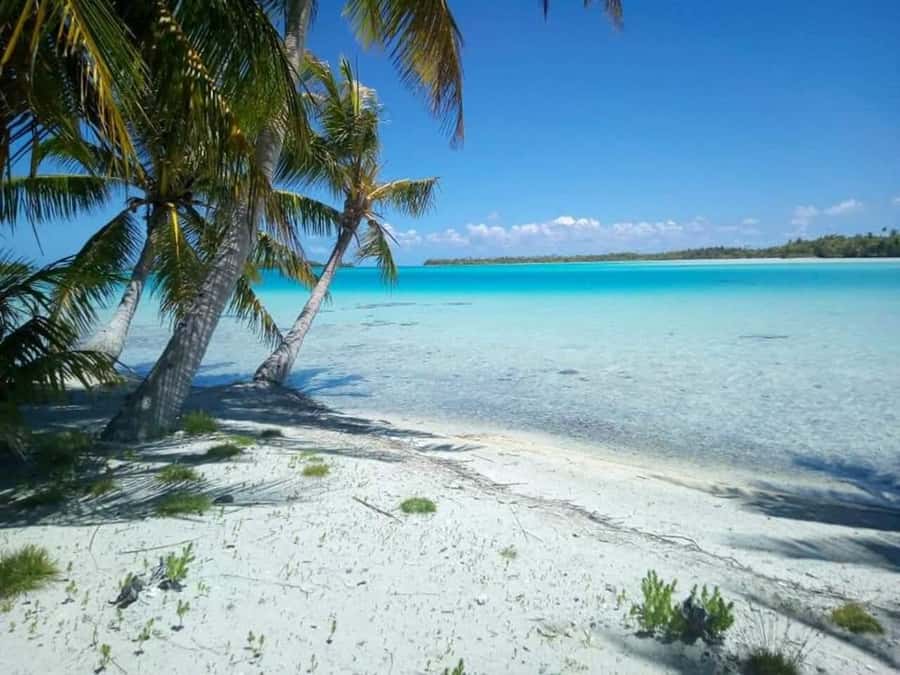 Blue Lagoon Eco-Tour, Avatoru Pass Snorkeling, Secret Green Lagoon - The Secret Green Lagoon and a schedule that can run tight