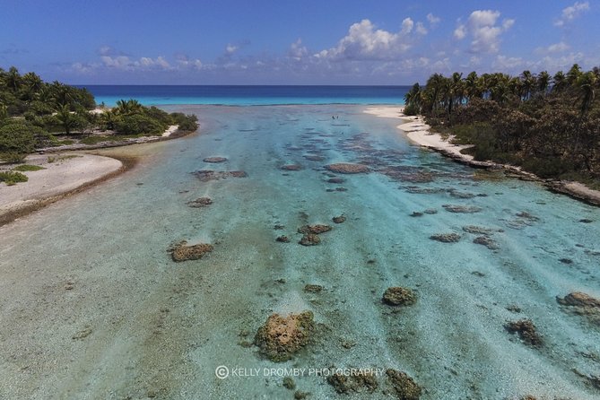 Blue Lagoon - PRIVATE ISLAND Pink sand beach and wildlife reserve - What the guiding is really like