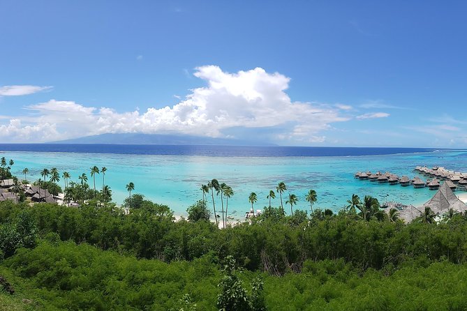 Blue Pearl Private Tour - Key points at a glance