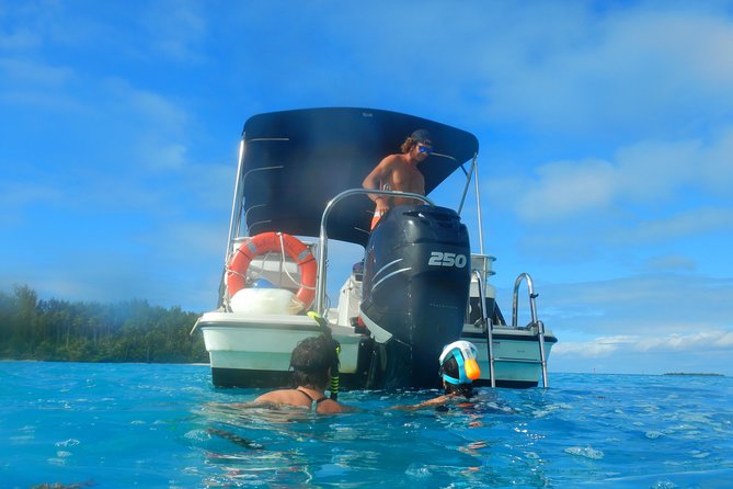 Boat tour 1/2 day Excursion in the lagoon of Moorea - Turtles, fish, and changing conditions