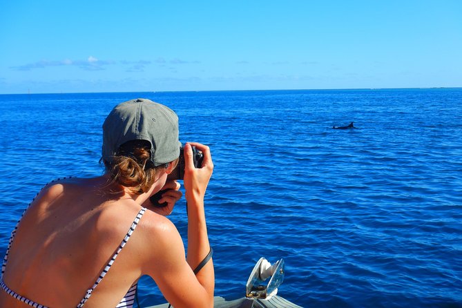 Boat tour 1/2 day Excursion in the lagoon of Moorea - Guides, language, and the feel aboard