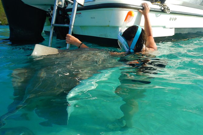Boat tour 1/2 day Excursion in the lagoon of Moorea - Who should book this Moorea excursion?