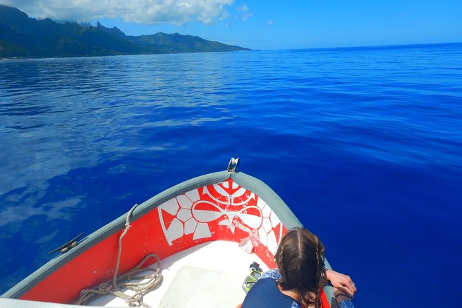 Boat tour 1/2 day Excursion in the lagoon of Moorea - Starting at Opunohu and cruising the north coast