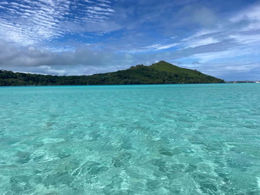 Bora Bora: 1/2 day Coral Discovery tour - Shared tour - What the coral lesson adds to the snorkeling