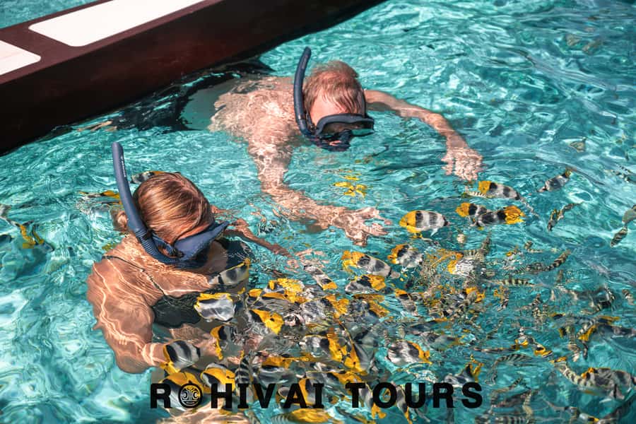 Bora Bora: 1/2 day lagoon safari - Shared tour - Why this four-hour lagoon safari works so well