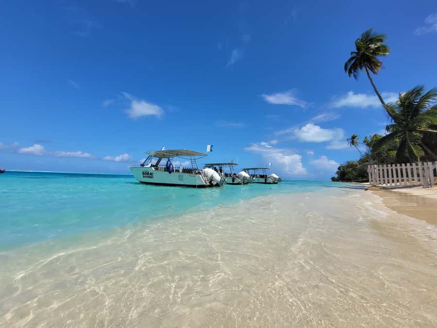 Bora Bora: 1 afternoon dive for certified divers - The briefing sets the plan