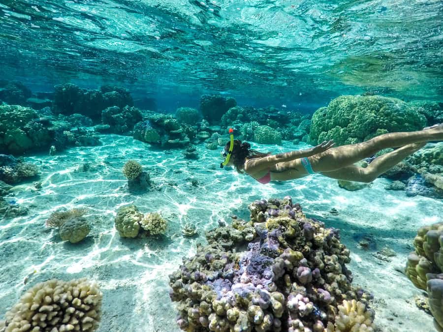 Bora Bora: 3.5-Hour Lagoon Boat Tour with Snorkeling - Key Details of the Bora Bora Lagoon Tour