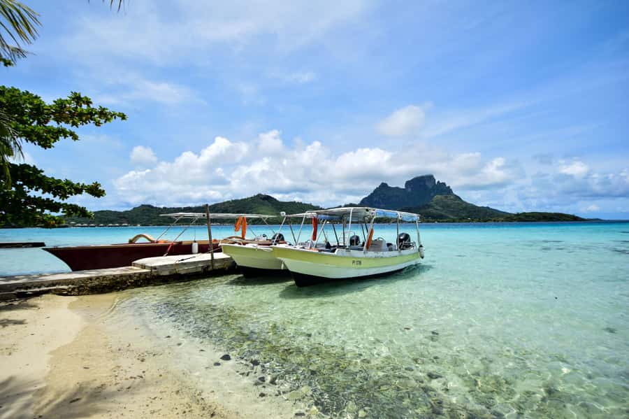 Bora Bora: 4x4 Safari with Snorkelling Combo Tour - The morning water time: sharks, rays, and reef fish