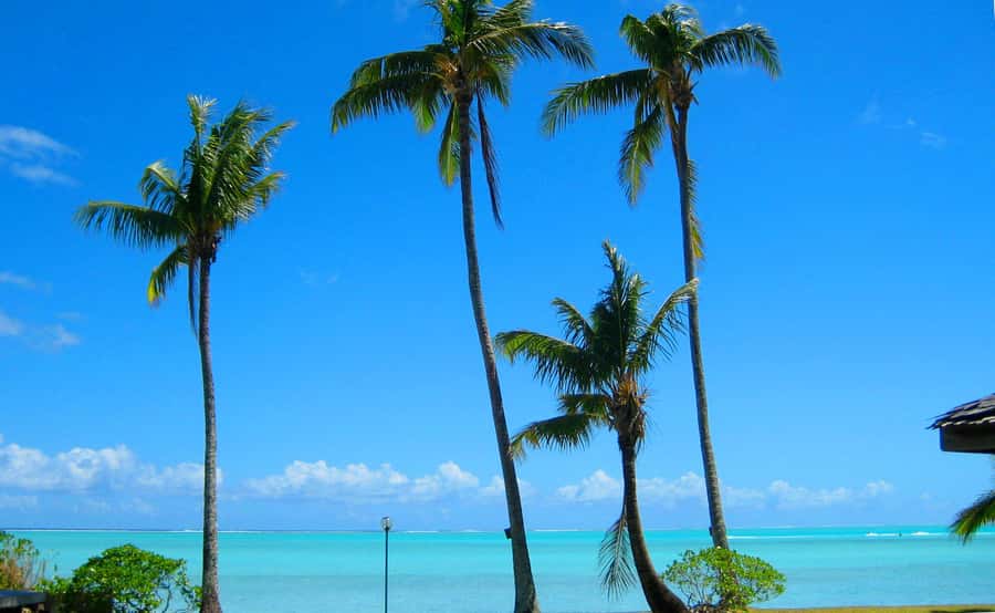 Bora Bora: 4x4 Safari with Snorkelling Combo Tour - Who should book it?