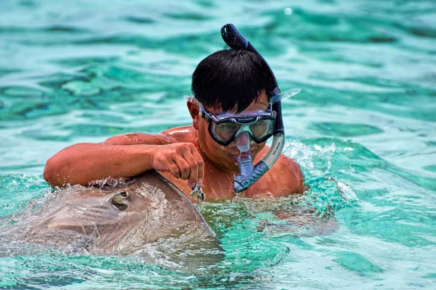 Bora Bora: 4x4 Safari with Snorkelling Combo Tour - Fresh ceviche and a proper island lunch