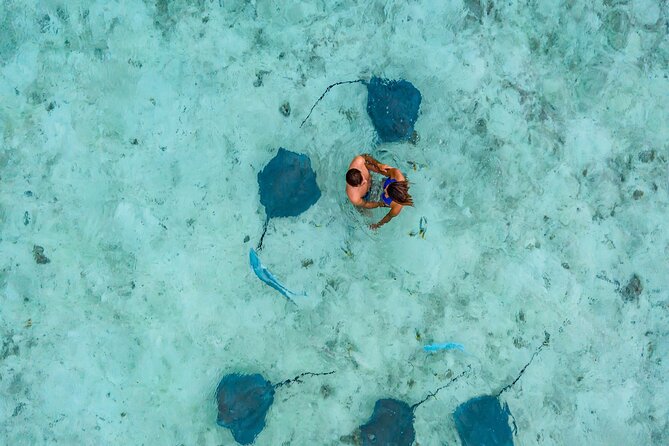 Bora Bora adventure Private Combo Jet Ski and Eco Sharks Snorkel - 9:00 a.m. pickup and a clean start