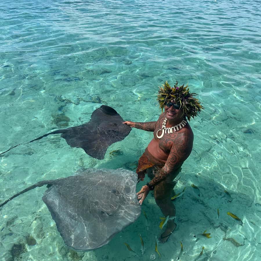 Bora Bora: Blue Lagoon Cruise, Snorkeling and Lunch . - Snorkeling through Bora Bora’s coral gardens