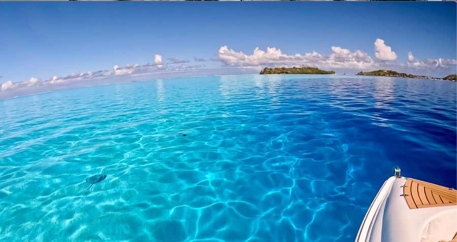 Bora Bora: Blue Lagoon Cruise, Snorkeling and Lunch . - Why the local guides matter