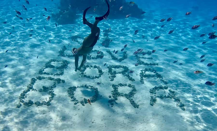 Bora Bora: Blue Lagoon Cruise, Snorkeling and Lunch . - Who should book this Bora Bora cruise?