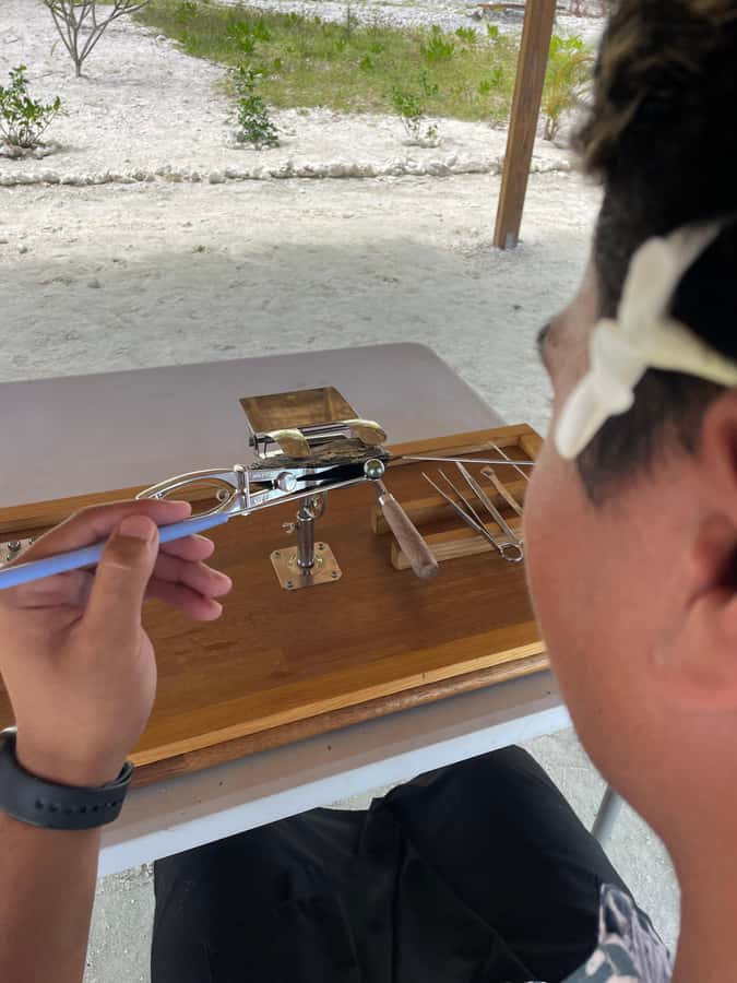 Bora Bora: Discovering the Tahitian black pearl ! - Key points to know before you book