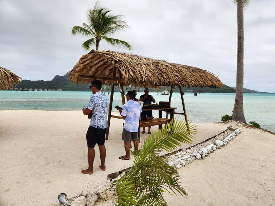 Bora Bora: Discovering the Tahitian black pearl ! - Why a black pearl visit belongs on a Bora Bora itinerary