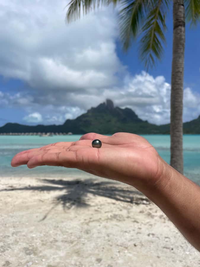 Bora Bora: Discovering the Tahitian black pearl ! - Learning how Tahitian pearls are grown
