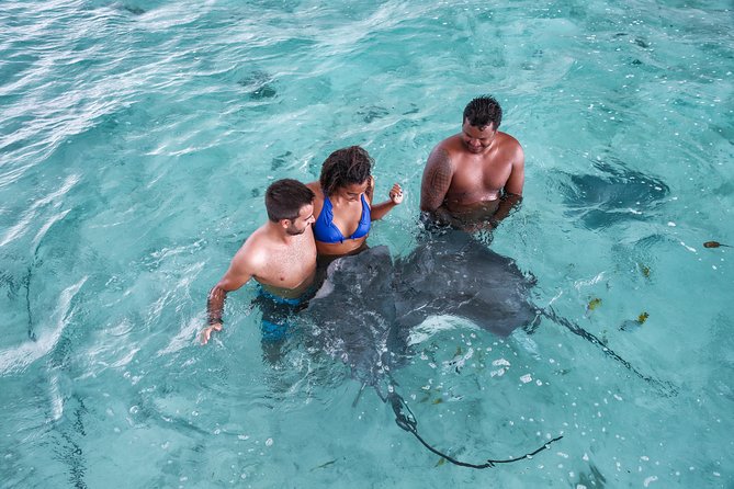 Bora Bora Eco Snorkel Cruise Including Snorkeling with Sharks and Stingrays - Key points to know before booking