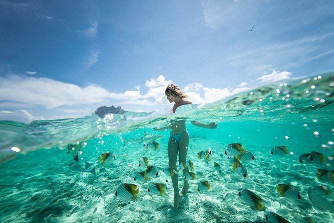 Bora Bora Eco Snorkel Cruise Including Snorkeling with Sharks and Stingrays - Boat Ride, Scenery, and Group Size