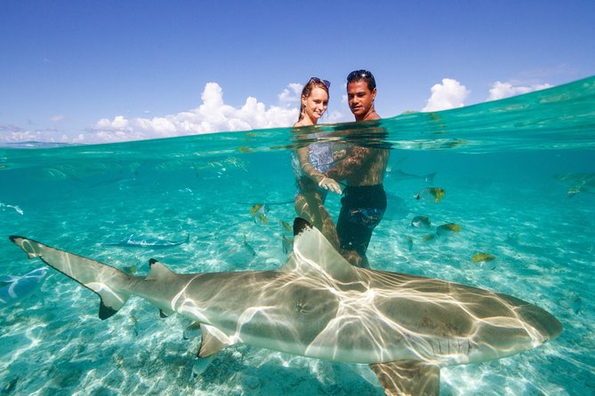 Bora Bora Eco Snorkel Cruise Including Snorkeling with Sharks and Stingrays - Is the $118.37 Price Good Value?