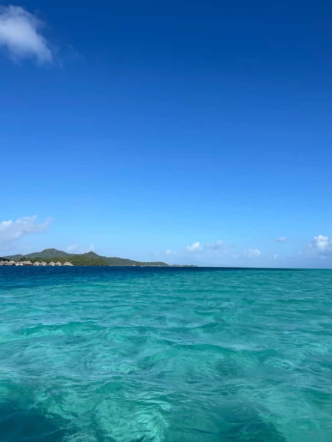 Bora Bora: Full day Lagoon Safari & Lunch on a Motu - ST - Who should book this Bora Bora experience?