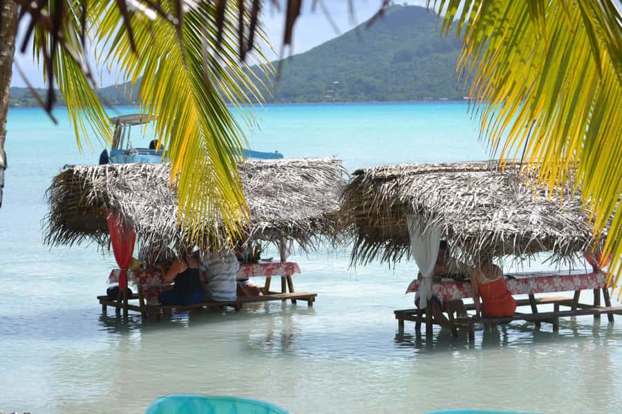 Bora Bora: Full-Day Lagoon Snorkelling Tour - Pickup, meeting points, and the extra-cost warning