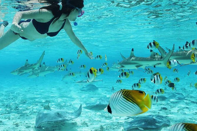 Bora Bora Full Day Snorkeling with Lunch - Is $153.04 a fair price?