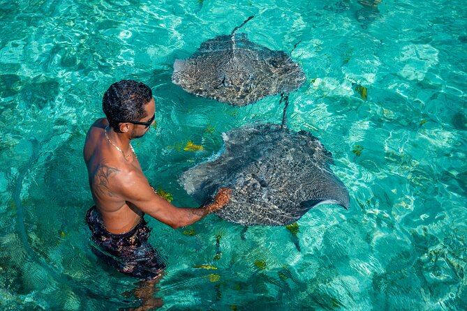 Bora Bora Full Day Snorkeling with Lunch - Coral Gardens: the strongest snorkeling stop