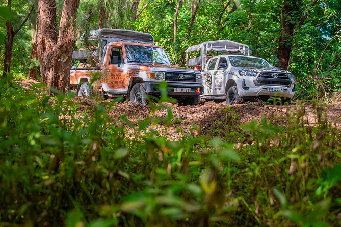 Four-wheel drives on a red track in the island interior