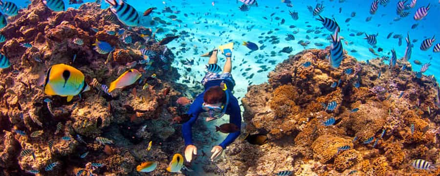 Bora Bora: Half Day Catamaran Sailing & Snorkelling - Key points to know before you book