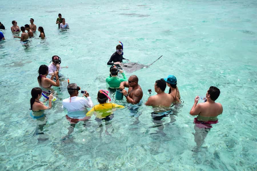 Bora Bora: Half-Day Lagoon Snorkelling Tour - Key points to know before you book