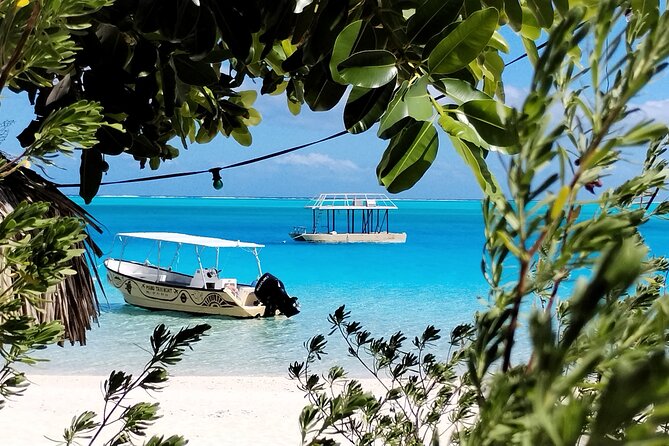 Bora Bora Half Day Snorkeling - Timing, fitness, and weather