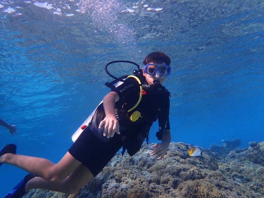 Bora Bora: Introductory Dive - Why Bora Bora’s Lagoon Works for First-Time Scuba