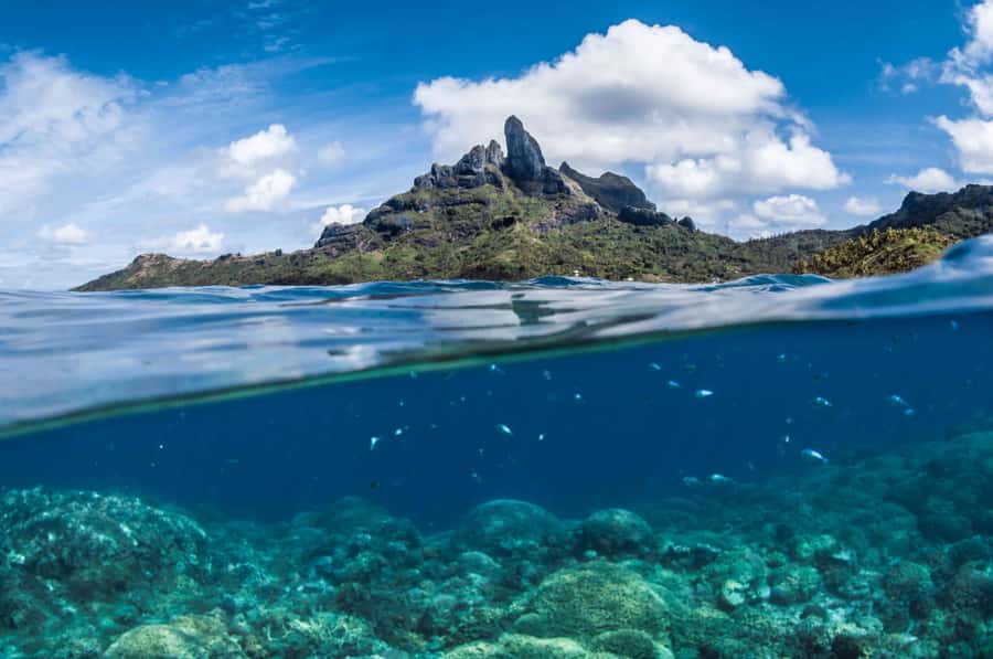 Bora Bora: Introductory Dive - What the Small Group Size Means