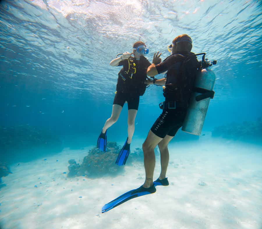 Bora Bora: Introductory Dive - A Short Lesson Before You Go Under