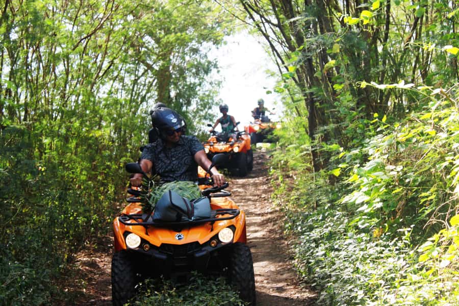 Bora Bora: Island Tour and Mountains Getaway by Quad Bike - Why a Quad Bike Makes Sense on Bora Bora