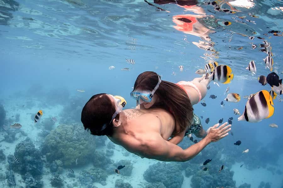 Bora Bora: Jet Ski, Lunch & Shark/ Ray Safari - Group size, language, and practical comfort