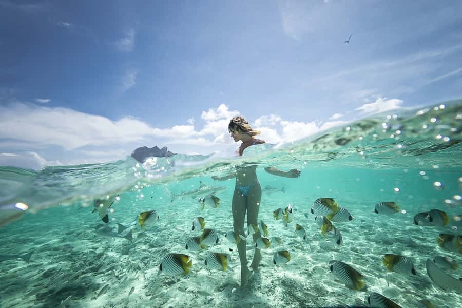 Bora Bora: Jet Ski, Lunch & Shark/ Ray Safari - Morning pickup and the first look at Bora Bora
