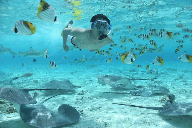 Bora Bora Jet Ski Tour, & Eco Shark / Ray Snorkel Cruise - The eco promise deserves your attention