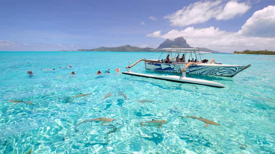 Bora Bora: Lagoon Tour and Snorkeling Experience - Why three shallow-water stops matter