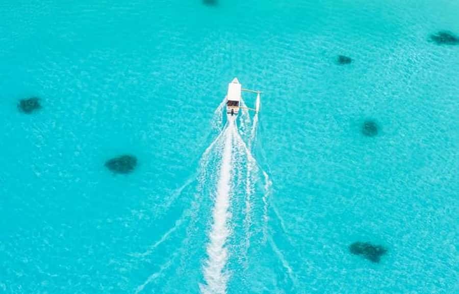 Bora Bora: Lagoon Tour and Snorkeling Experience - Stop two: the coral garden